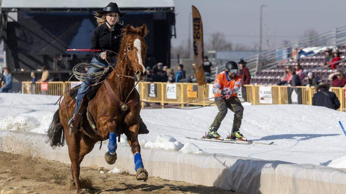 Boise State University student Devon Peterson rides Hercules as she competes in the pro division with skier Cam Charles during Skijor Boise on Feb. 6. (Sarah A. Miller/Idaho Statesman)