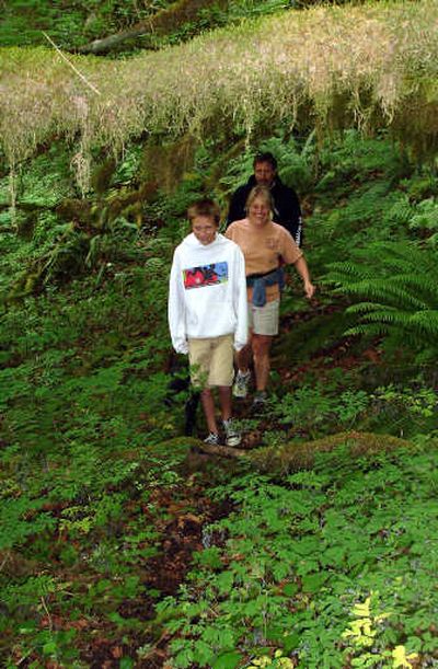 
Cascade Property Management owner Betsy Perrodin, center, shows visitors the Bonanza Trail in Mount Hood National Forest near Welches, Ore.
 (Jean Arthur / The Spokesman-Review)