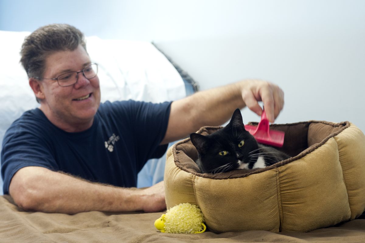 Reed Birnel, a volunteer at Partners for Pets, brushes a cat named Summer at the shelter on Tuesday in Spokane Valley. The all-volunteer cat shelter finds homes for cats that larger shelters can’t house. (Jesse Tinsley)