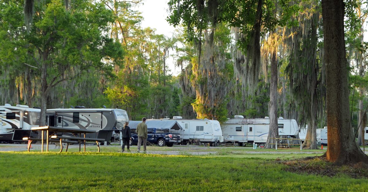 Spanish moss hangs from the trees on the beautiful grounds of Cypress Lake Resort. (John Nelson)