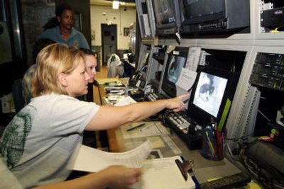 
Dr. Suzan Murray, left, chief veterinarian at the Smithsonian's National Zoo, monitors the zoo's newest addition, a giant panda cub born Saturday.
 (National Zoo / The Spokesman-Review)