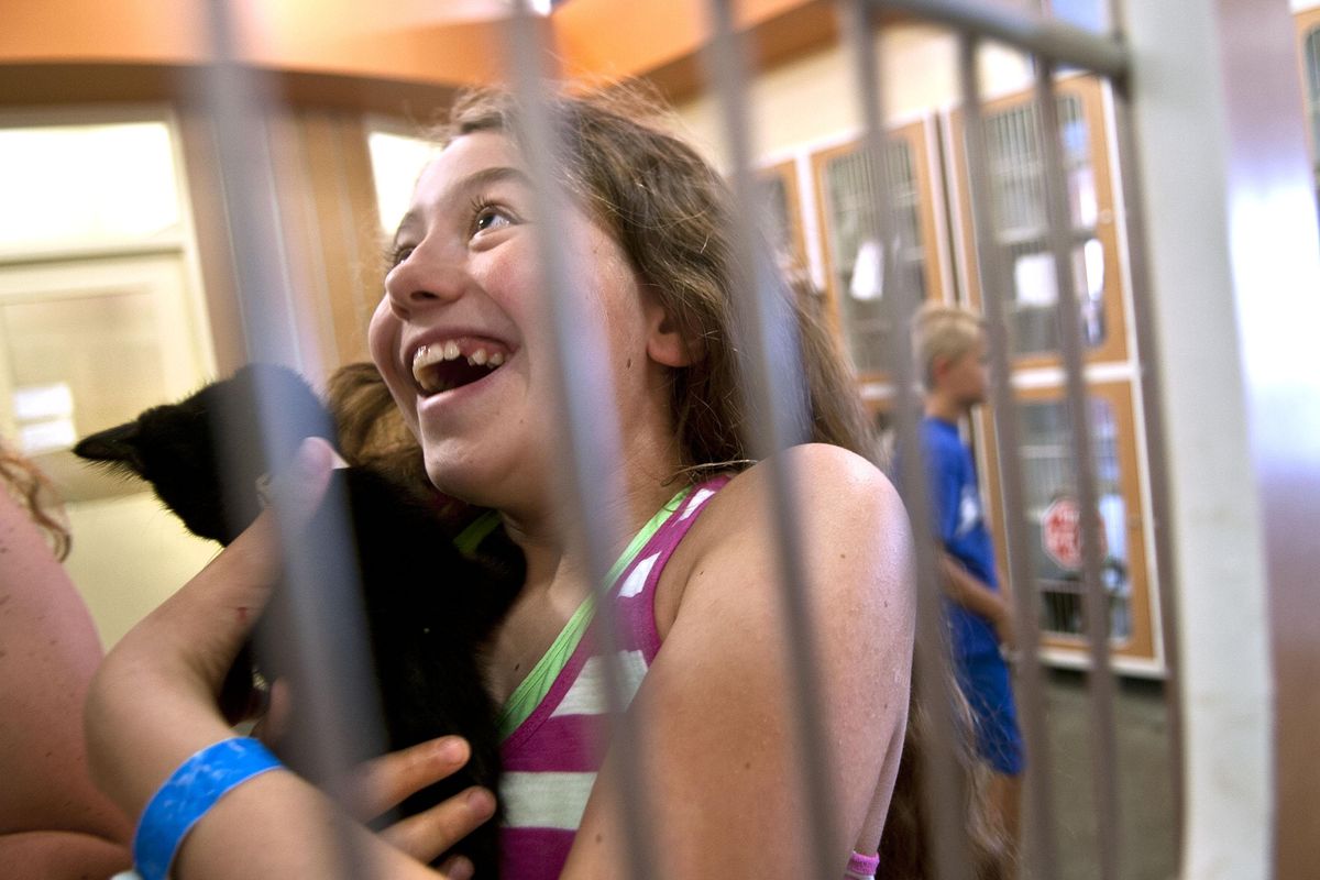 Rona Smith, 12, smiles as she holds  a kitten that will be coming home with her from SCRAPS on Wednesday, Aug. 9, 2017. Adoption fees for cats are half-price until Aug. 13. (Kathy Plonka / The Spokesman-Review)