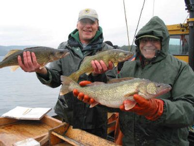 
Idaho Fish and Game researchers Mark Liter, left, and Vaughan Paragamian show a sampling of walleyes they gillnetted in Lake Pend Oreille.
 (Photo from Idaho Fish and Game Department / The Spokesman-Review)