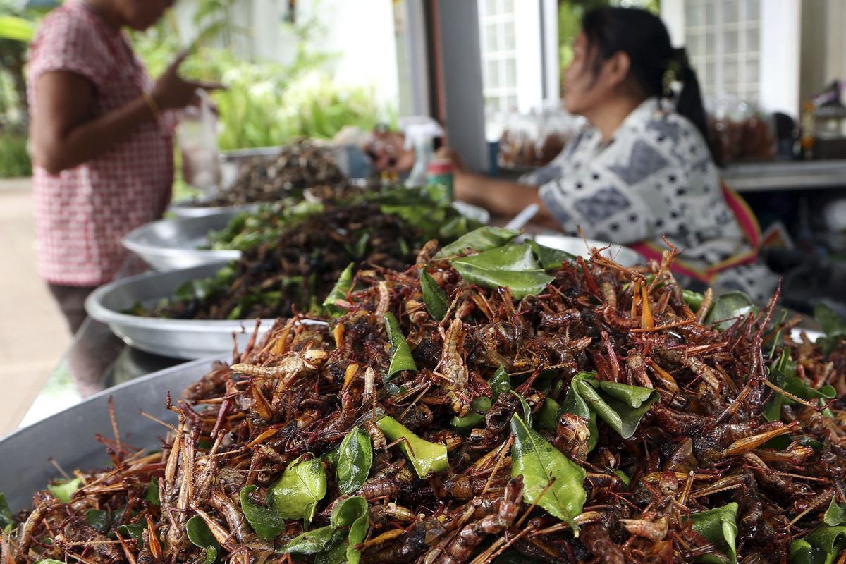 A woman, at right, sells fried grasshoppers and other fried insects at a gas station stand earlier this month in Nakhon Ratchasima province, northeastern Thailand. (Associated Press)