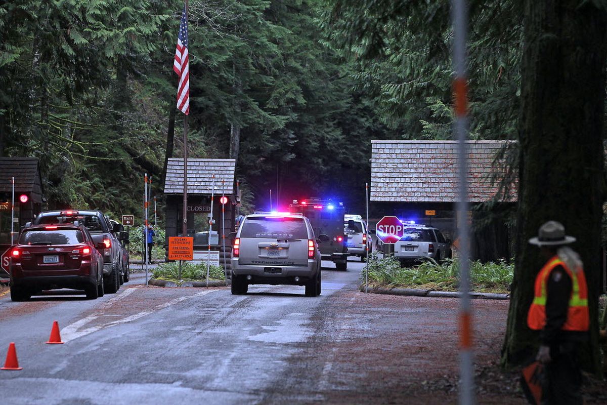 Emergency vehicles speed to the scene of a shooting of a Mount Rainier National Park ranger as another ranger redirects traffic in Mount Rainier, Wash., Sunday, Jan 1, 2012. A Mount Rainier National Park ranger was fatally shot following a New Year