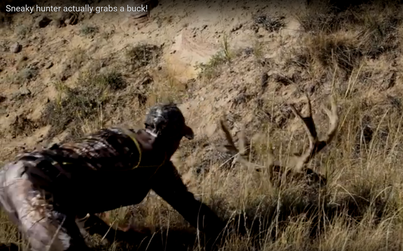 Bowhunter sneaks close to a mule deer buck.