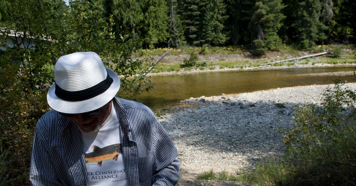 Selkirk Conservation Alliance board member Mark Kabush walks near the Dickensheet area of Priest River on Monday. Drought is creating conflicts between fish health and recreation at Priest Lake. Local resorts want to keep the lake at full pool, and there’s a state statute that supports them. (Kathy Plonka)