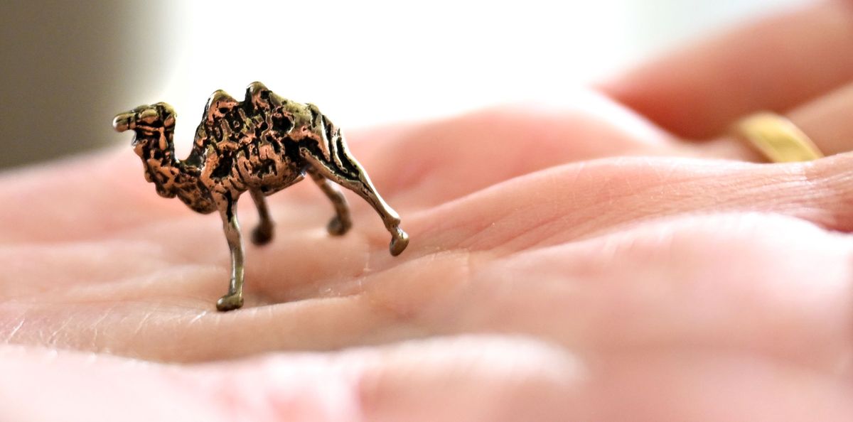 Camel collector Terral Schut displays one of her tiny collectables from Italy, in her hand at her home in Greenacres on April 23. (Kathy Plonka/The Spokesman-Review)
