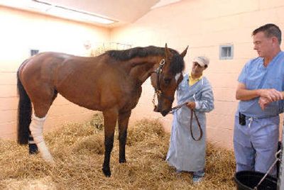
Jockey Edgar Prado greets Kentucky Derby winner Barbaro as Dr. Dean Richardson, right, looks on.
 (Associated Press / The Spokesman-Review)