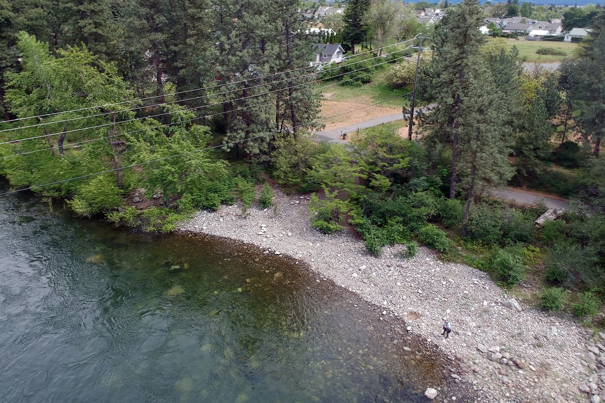 One of the three parcels that Spokane Valley will purchase is a strip of land near the Spokane River, along the Centennial Trail at Flora Road, which in long term planning may lead to a pedestrian bridge which will lead to city land on the north side of the Spokane River.  (Jesse Tinsley/The Spokesman-Review)