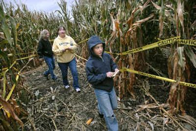 
Tanner Rawlins, 10, uses a map to lead his mother, Karen Rawlins,  and their neighbor Joe Ledford through the Clear Channel Amaizing Corn Maze in Hauser on Sunday. Below, Dan Shears, of Moscow, Idaho, tries to get his bearings inside the maze.
 (Photos by Holly Pickett / The Spokesman-Review)