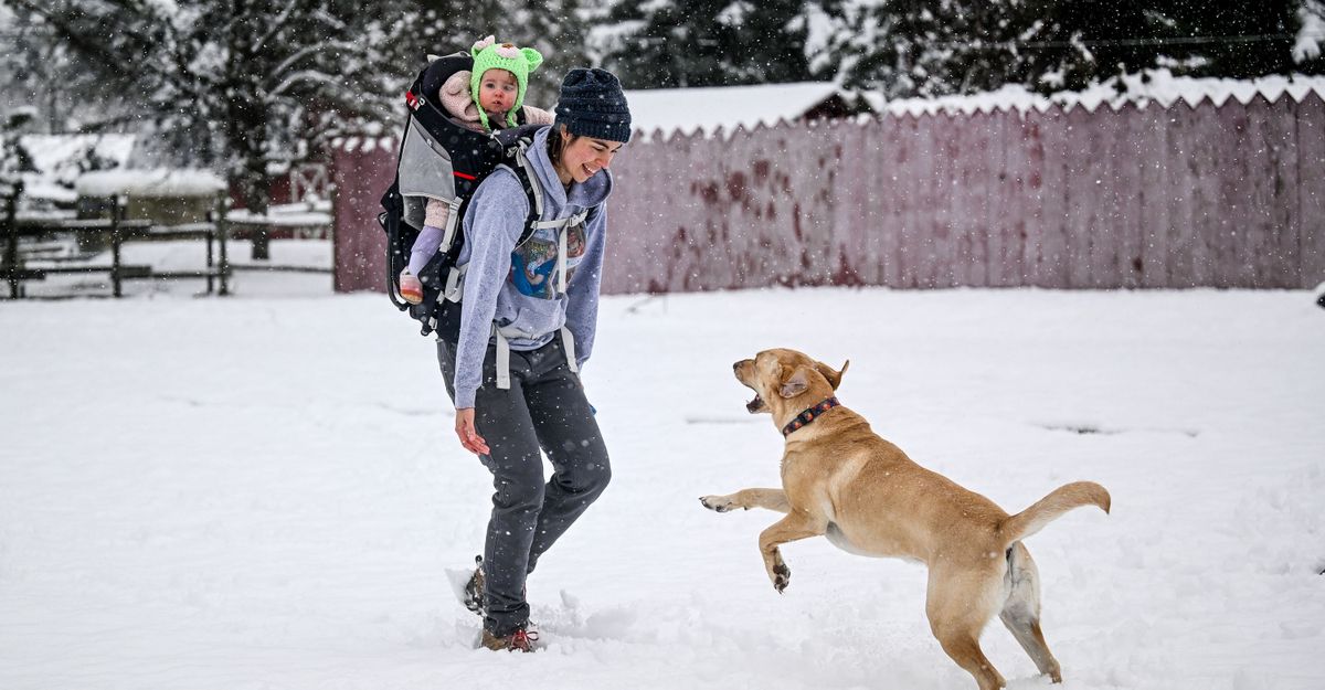 Christy Hauschild and her daughter Elsie play with their dog Nellie while enjoying Friday