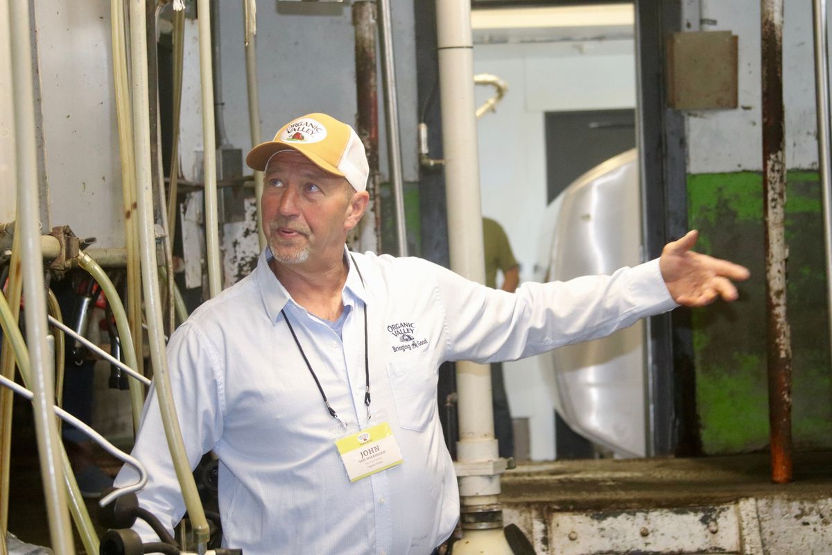The milk from the cows on John Van Wieringen’s organic dairy farm in Enumclaw goes into Organic Valley cartons. “Milking organic is almost easier in a sense because when I milked conventional, I milked to get as much production as I could,” Van Wieringen said.  (Courtesy)