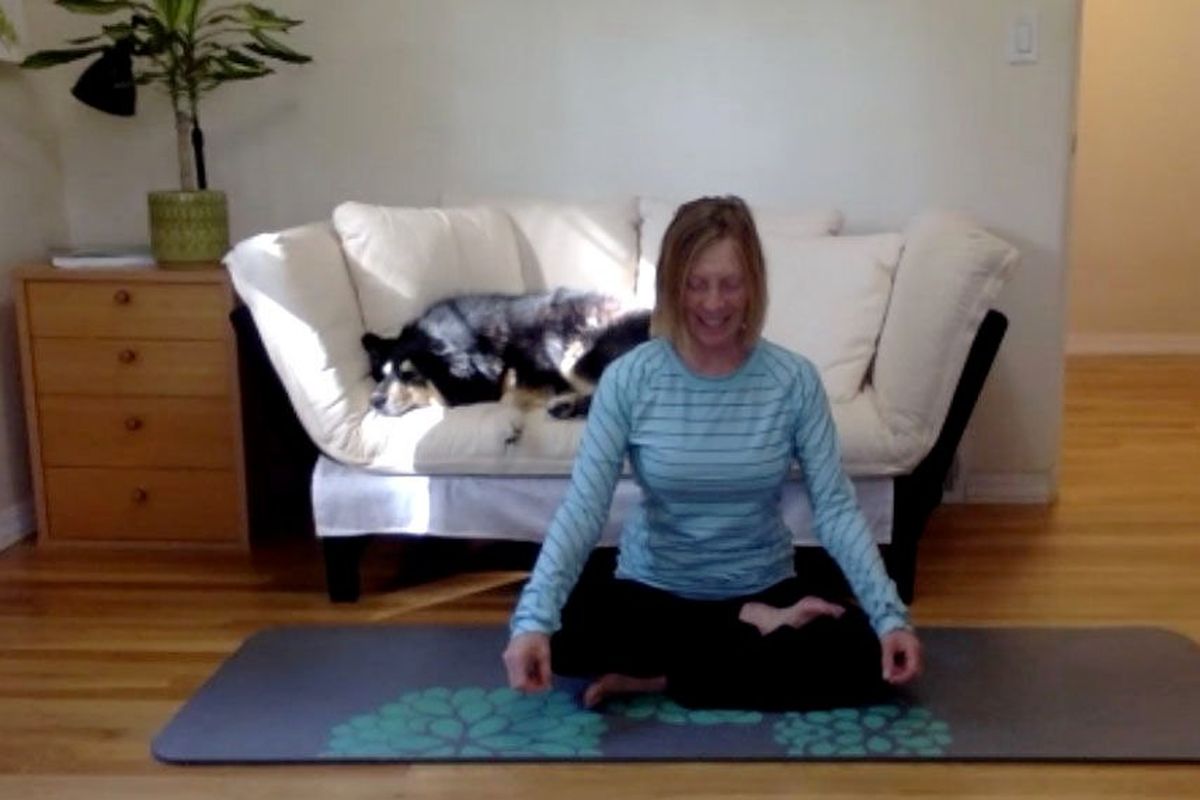 Robin Marks teaching virtual yoga class with her dog during meditation.  (Courtesy Robin Marks)