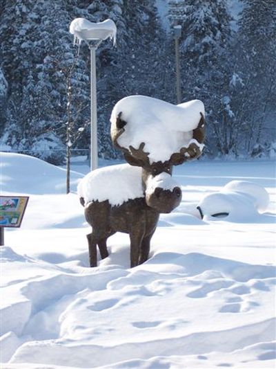  (The Spokesman-Review)