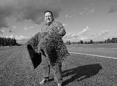 
Richard Anderson is general manager of the Grower Direct sod farm and nursery in Aurora, Ore. He grows more than 2 million square feet of Water Warden, a blend of shade-tolerant tall fescue to meet the growing demand. 
 (Associated Press / The Spokesman-Review)