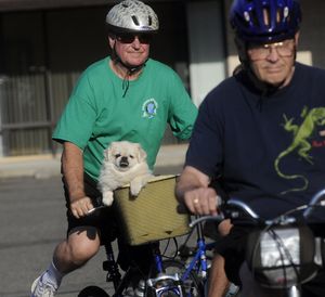 Spokane Valley Mayor Tom Towey and his Pekinese, "Buddy", get ready to ride Wed. evening, Aug. 18, 2010, along with Spokane Valley Cyclists FOR the Broadway Safety Project in a "Pedal with the Politicians", to look first hand at bike lanes and safety issues in the Spokane Valley. Councilman Bill Gothman (blue helmet) also participated in the ride.  (J. Bart Rayniak)