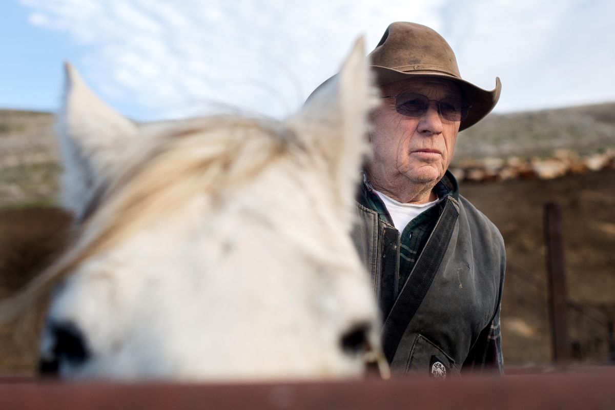 Rancher, Walter "Sonny" Riley sits atop his horse "Oly" on Thursday , February 8, 2018, on his ranch in southeastern Washington. Riley is caught in a land dispute with the U.S. Army Corps of Engineers. (Tyler Tjomsland / The Spokesman-Review)