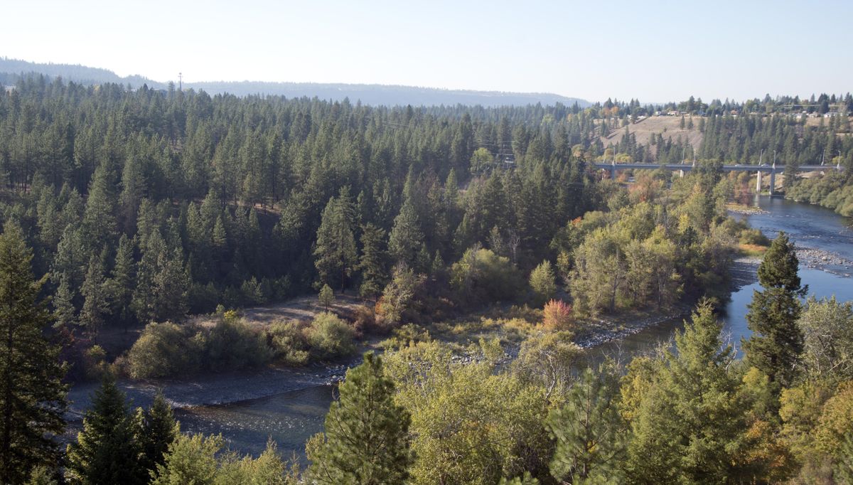 The Sisters of the Holy Names are selling their property in Spokane, which is 65 acres of forested land on the south side of the Spokane River, upstream from the T.J. Meenach Bridge. (Jesse Tinsley / The Spokesman-Review)
