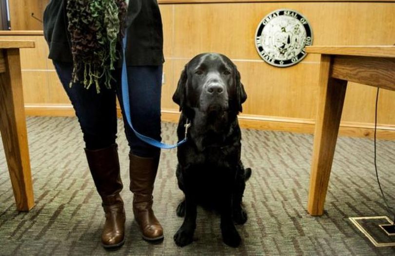 Peggy Frye, the Victim Witness Unit Coordinator/Dog Handler from the Bonner County Prosecutors Office with Ken, the courtroom comfort dog at the Bonner County Courthouse on Monday, November 23, 2015. Ken was present in the courtroom to give support for a woman giving victim impact statement. (Kathy Plonka / The Spokesman-Review)