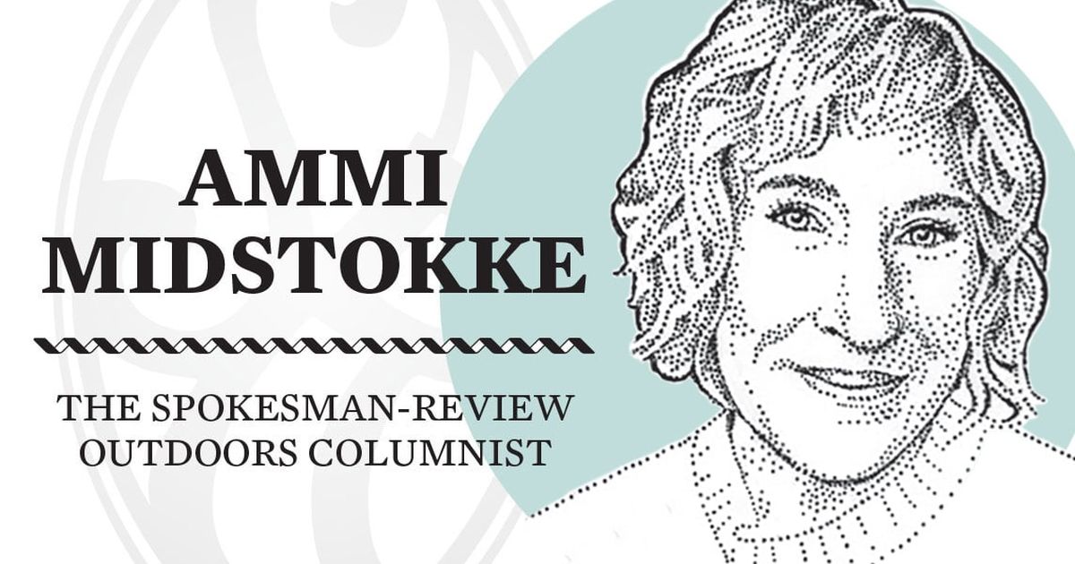 A boat finds its name | Ammi Midstokke