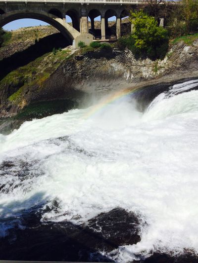 Sunshine, lollipops, etc.