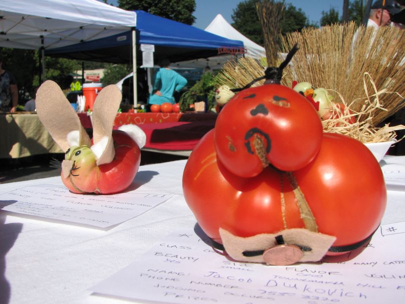 A tomato entered in the South Perry Farmers' Market's tomato pageant on Aug. 19, 2010 (Pia Hallenberg)