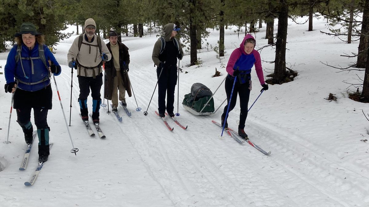 Members of the Moscow, Idaho-based Palouse Divide Nordic Ski Club hit the trail near the Clearwater Big House.  (William Brock/The Spokesman-Review)