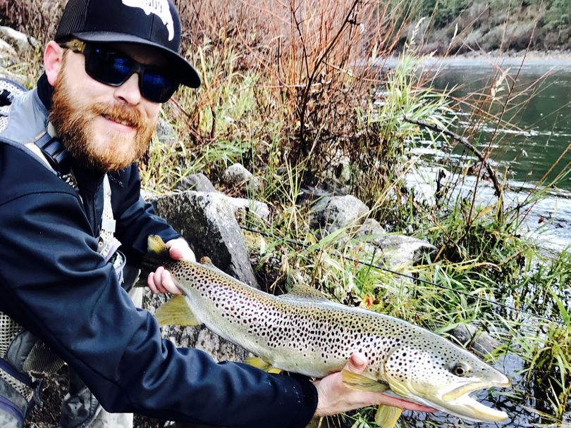 Sean Zenishek caught and released this 26-inch brown trout in the Spokane River in December. (Courtesy)