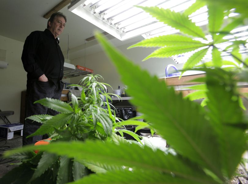 Steve Sarich stands in a room used to grow medical marijuana in his Kirkland, Wash., home Tuesday.  (Associated Press)
