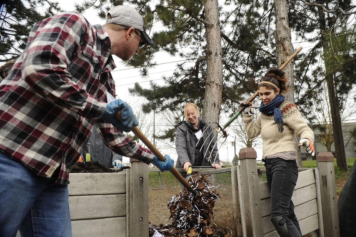 Compost Master students start to transfer their compost pile into the compost bin on Saturday, April 1, 2017, at the Conservation District in Spokane. In order to ensure a good compost pile a student waters the pile while the others add more material. (James Snook / James Snook)