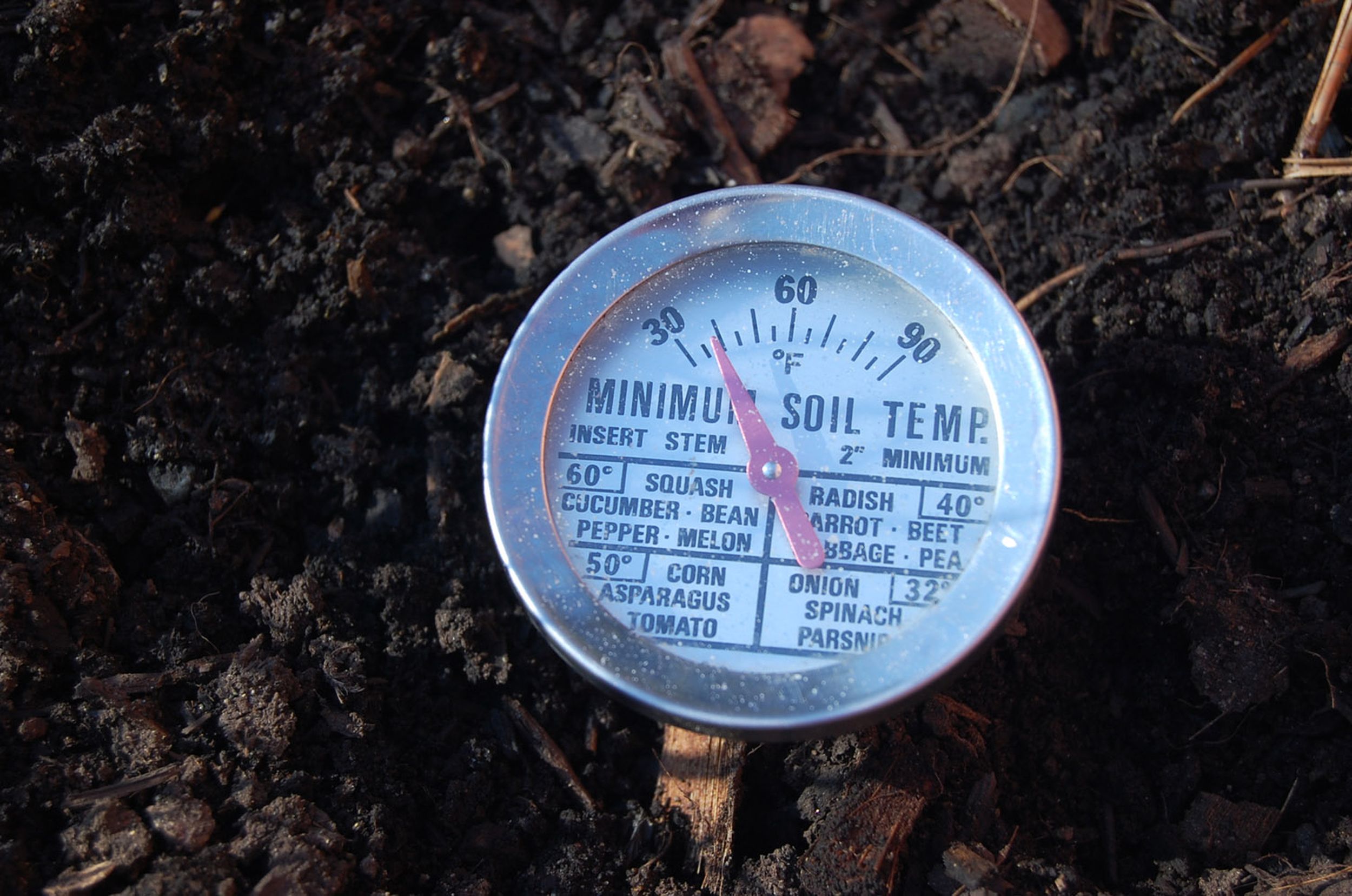 Take your garden’s soil temperature before planting The