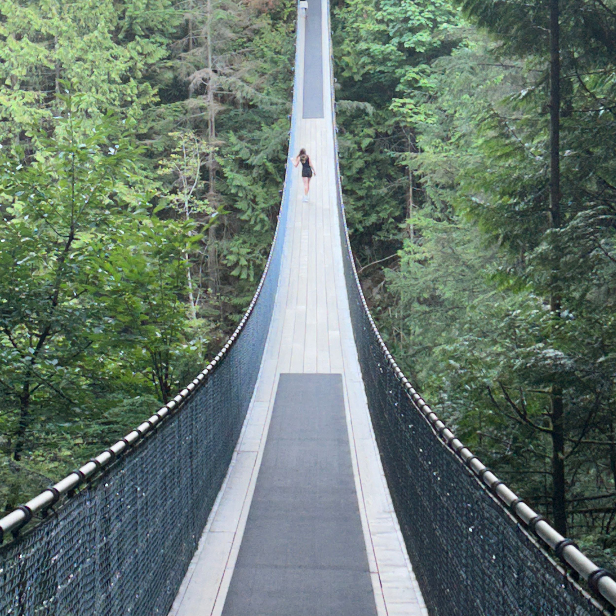 Vancouver: Floatplane e Capilano Suspension Bridge Combo