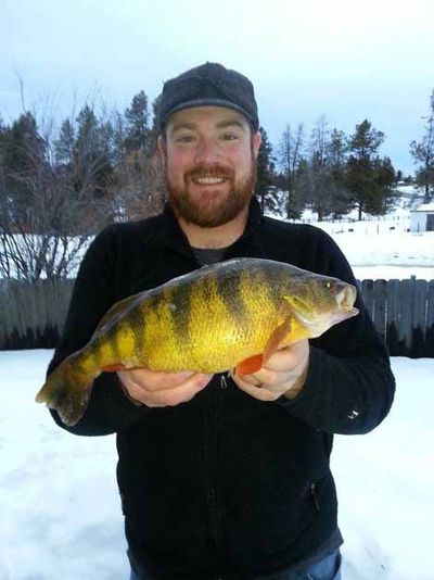 IDAHO RECORD: Luke Spaete of Boise was fishing on Feb. 15 in Lake Cascade north of the capital city when he caught an Idaho state-record yellow perch that weighed 2 pounds 10.88 ounces, topping the old record of 2 pounds 9.6 ounces. The perch was 15.5 inches long. Also last weekend, another angler caught a perch just slightly smaller than Spaete’s record. Lake Cascade has produced record perch in previous years.