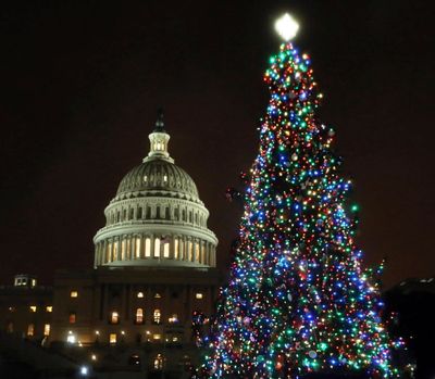 The U.S. Capitol Christmas Tree is lit up during a ceremony on the West Front of the Capitol in Washington Tuesday. The Capitol Christmas Tree is an 80-foot Engelmann Spruce from the Payette National Forest in Idaho. (AP Photo/Manuel Balce Ceneta)
