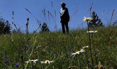 Phyllis Mott stands on part of her land on July 9, in Cocollala. She has entered into a conservation easement with Inland Northwest Land Trust to protect the acreage.  (Kathy Plonka / The Spokesman-Review)