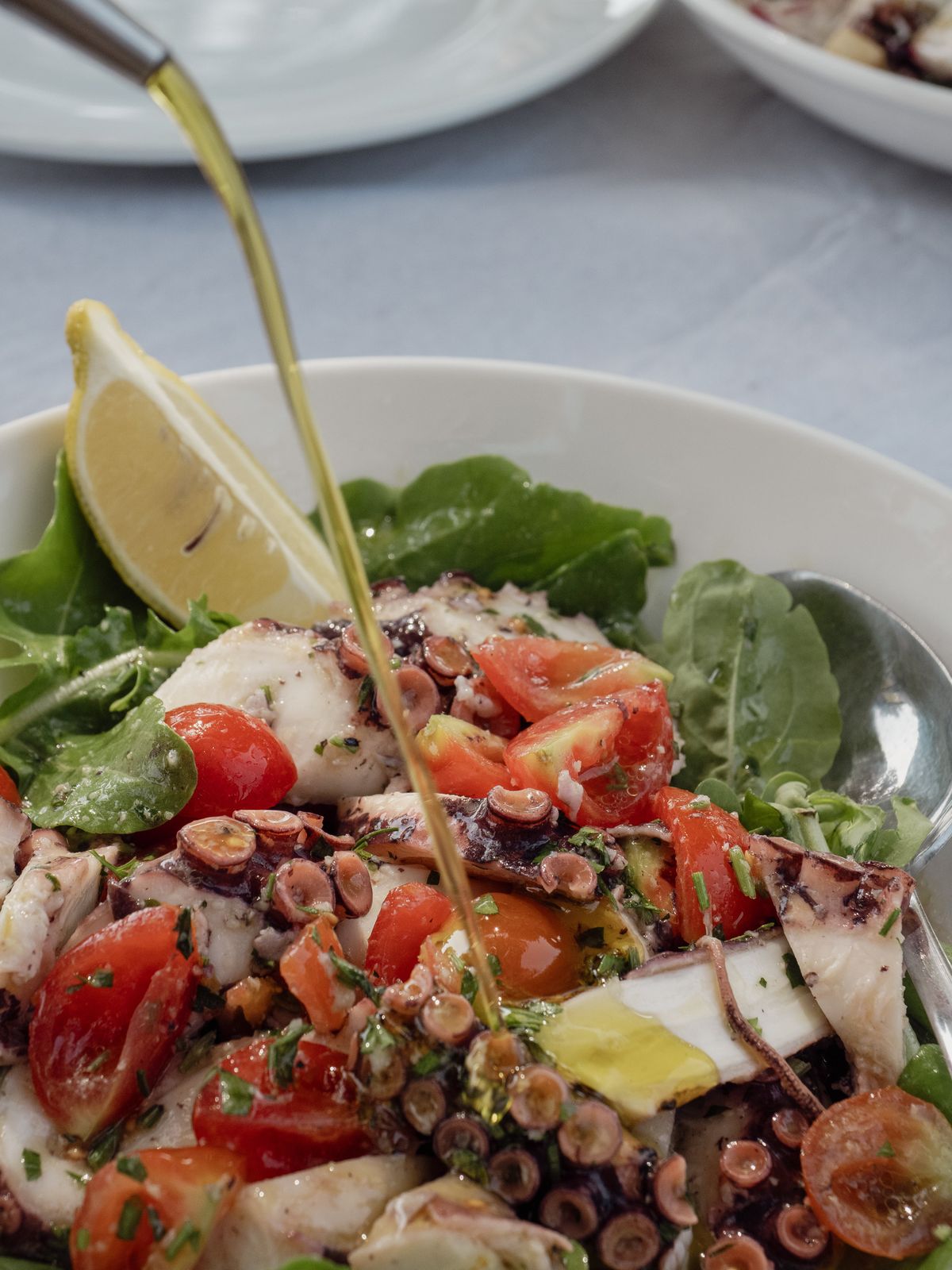Grilled octopus and fresh tomatoes accompany the beach view at Freskia e Jonit in Ksamil, Albania, in July 2025. Gorgeous beaches, unspoiled nature, unusual historical sites and low prices have made this former “hermit state” one of Europe’s newest destinations.  (New York Times)