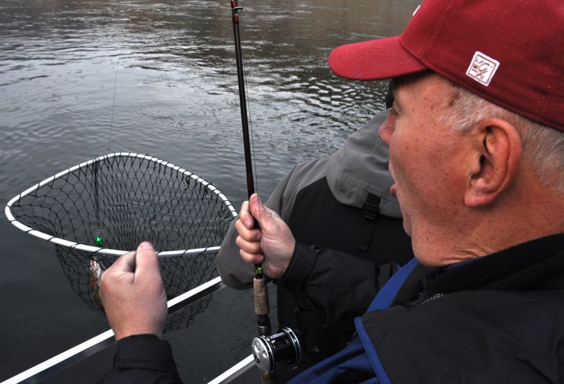 Catching his first steelhead was clearly a thrill for Al Donnelly, of Pullman. (Rich Landers / The Spokesman-Review)