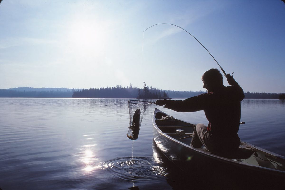 Scott Wolff nets a lake trout for dinner during an autumn paddling adventure in 1982 in the Boundary Waters Canoe Area, the largest wilderness in Minnesota.  (Rich Landers/For The Spokesman-Review)