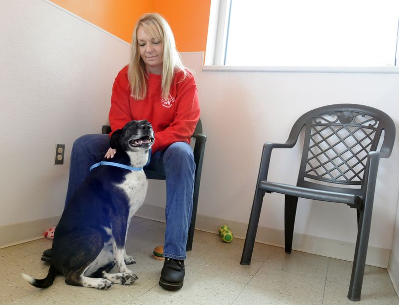 SCRAPS animal protection assistant Rachel Sayer sits with a dog  that was found  Nov. 19,  and brought into the shelter by a citizen. The dog had no chip, no license and no ID on its collar.  (J. BART RAYNIAK / The Spokesman-Review)