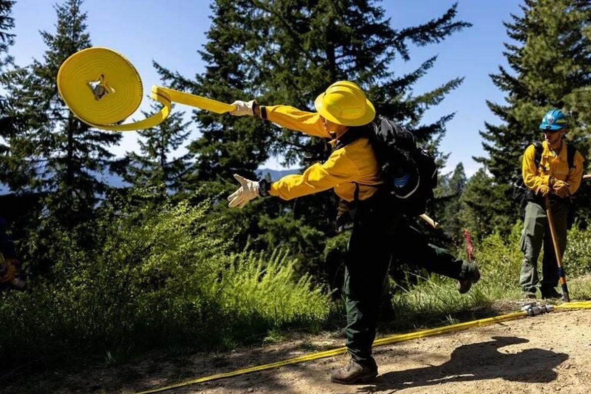 Cat Robinson tosses a roll of hose while building a hose line during a prescribed burn training academy earlier this month near Roslyn, Kittitas County. (Nick Wagner/Seattle Times)