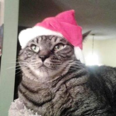 Santa Thor 2