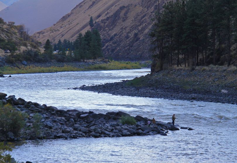 A spin-fisherman works the Salmon River downstream from Riggins, Idaho. Fishing for steelhead with spoons and spinners is often ignored by anglers. (Associated Press)