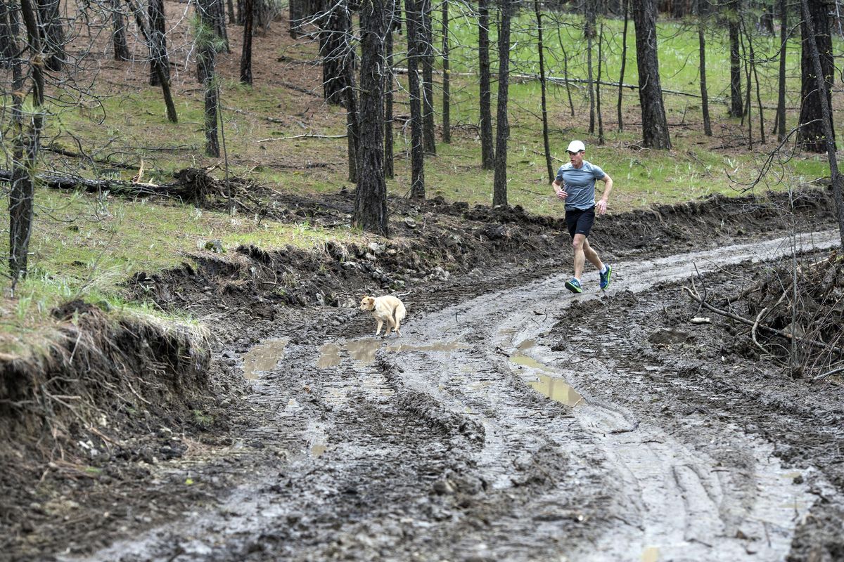John Little and his dog, Zorra, run along the new road cut without permits through the wooded South Bluff area, April 13, 2017, in Spokane. (Dan Pelle / The Spokesman-Review)