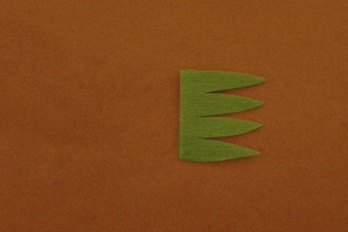 Cut carrot tops.  (Maggie Bullock)