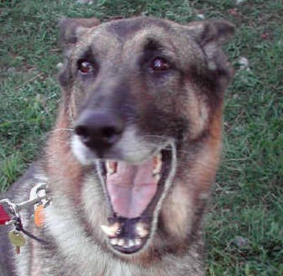 

 (The Spokesman-Review)