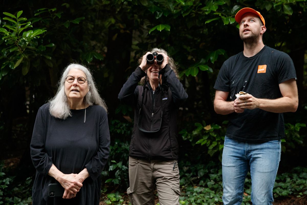 Bonnie Thompson Norman, left, Patti Loesche, with the Urban Raptor Conservancy, left, and naturalist Jeff Brown, of the Progressive Animal Welfare Society, watch a Cooper’s hawk after its release in a northeast Seattle neighborhood Wednesday, July 21, 2021.  (Erika Schultz/The Seattle Times)