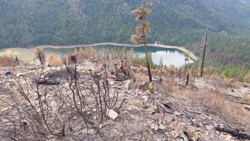 Browns Lake, a fly-fishing-only trout lake in Pend Oreille County is below a ridge that burned in the summer 2015 Tower Fire.
