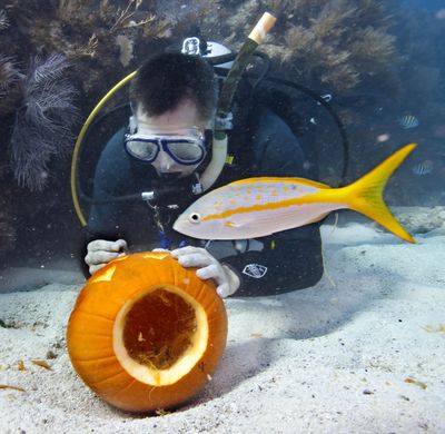  (The Spokesman-Review)