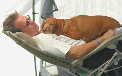 
With special veterinary care early on, your aging pets can live in health in their golden years.
 (File/Associated Press / The Spokesman-Review)